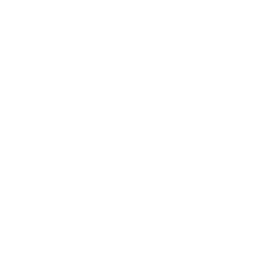 Western Express logo