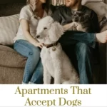 Apartments That Accept Dogs