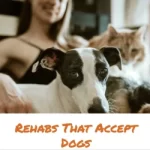 Rehabs That Accept Dogs