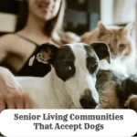 Senior Living Communities That Accept Dogs