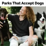 Parks That Accept Dogs
