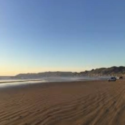 Pismo State Beach logo