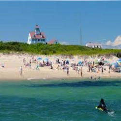 Cape Cod National Seashore logo