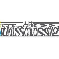  Welstone At Mission Crossing logo